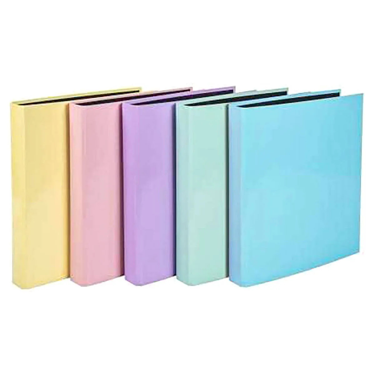 Aquarel Plastic Coated 2-Ring 25mm Binder (styles vary)