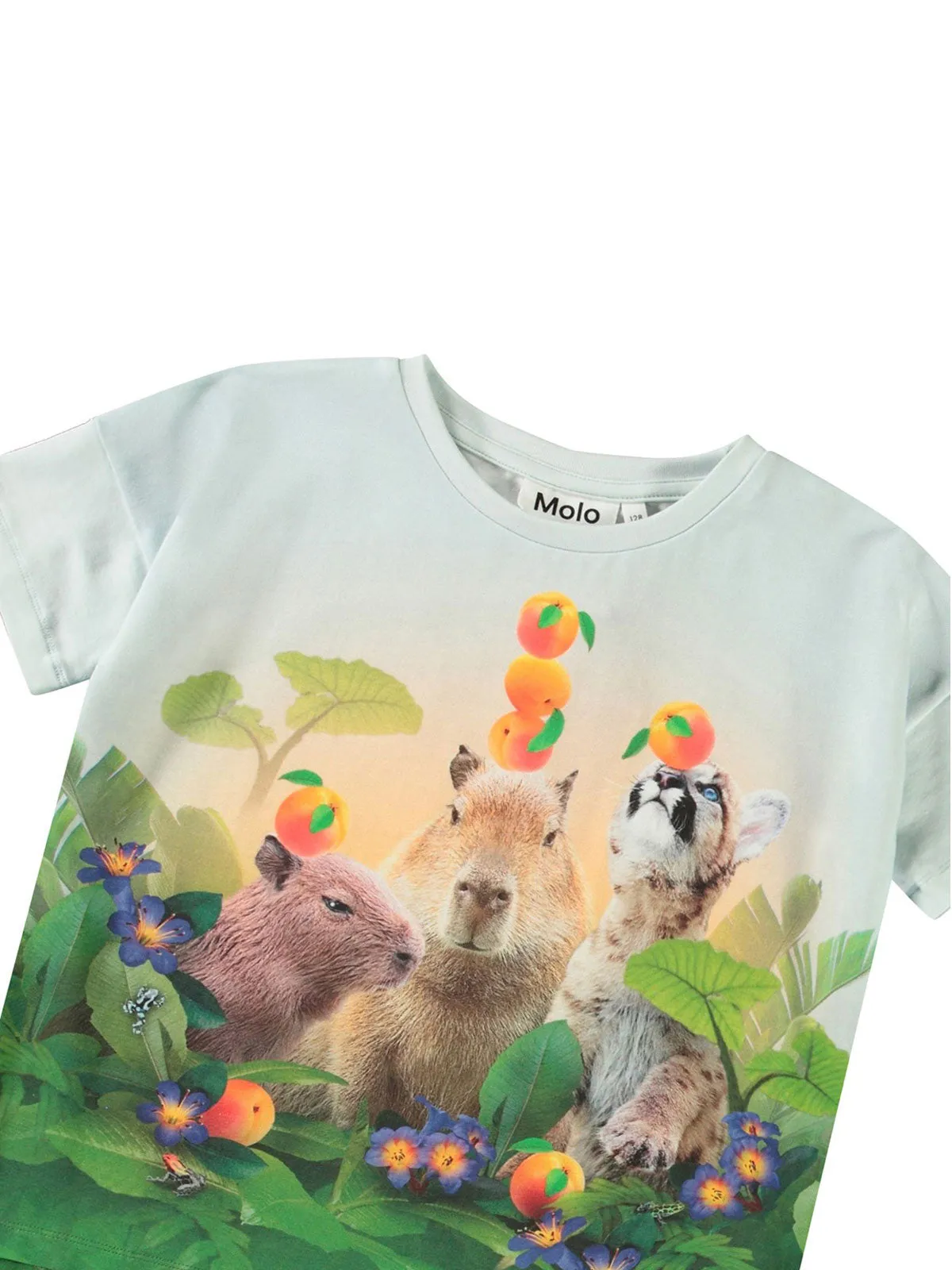 Molo-graphic-print T-shirt-Light blue-2S25A211