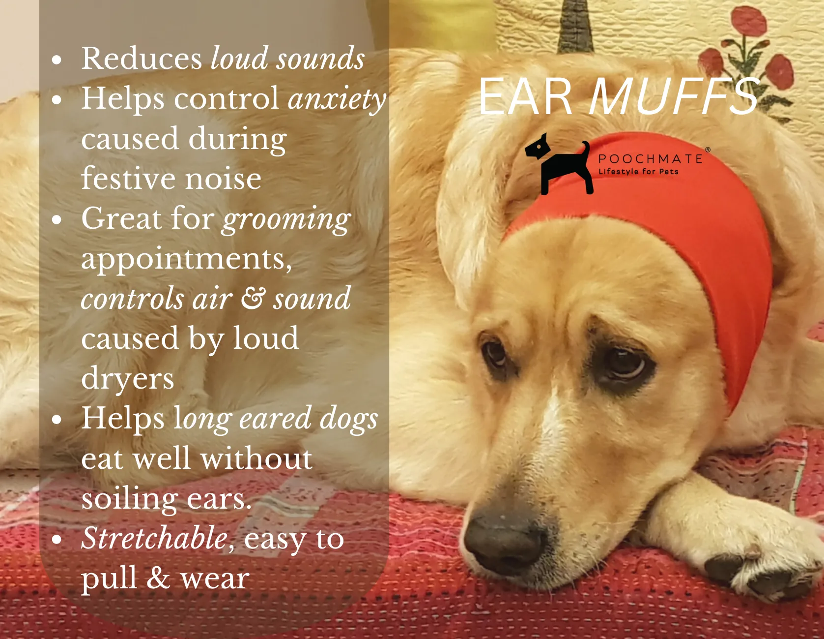PoochMate Diwali Dog Gift Box Mini