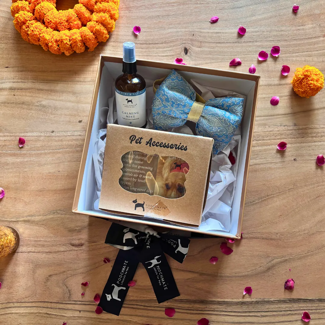 PoochMate Diwali Dog Gift Box Mini
